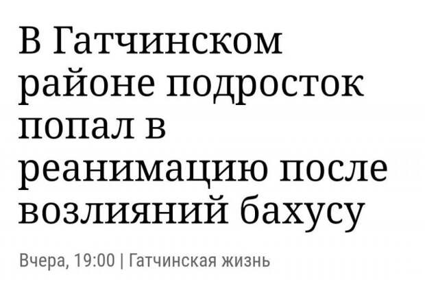 Забавные заголовки, которые описывают состояние современных СМИ