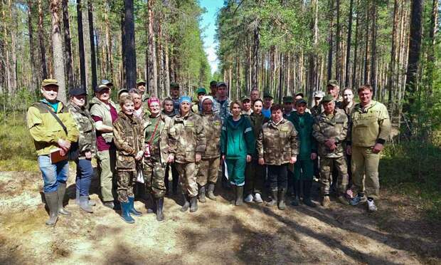 Архангельских лесоустроителей допустили к работам в лесах региона