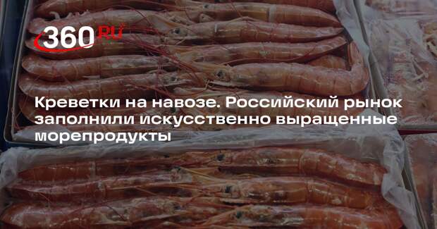 Эксперт по рыболовству Савельев: заполнившие рынок креветки выращивают на навозе