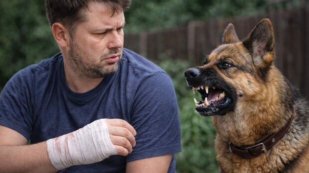 При первых симптомах смерть уже неизбежна. Почему от бешенства так и не изобрели лекарство