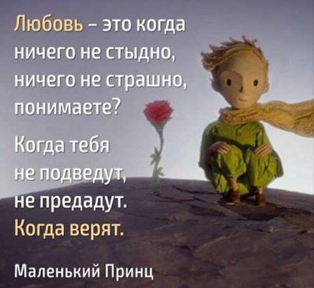 Забавные и веселые картинки с надписями для хорошего настроения (12 фото) Забавные и веселые картинки с надписями для хорошего настроения (12 фото)