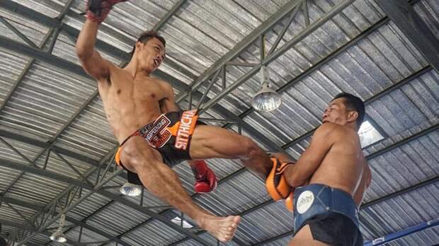 Двойной удар по депутату и украсть 6 млрд — о чем говорили на Ставрополье в среду