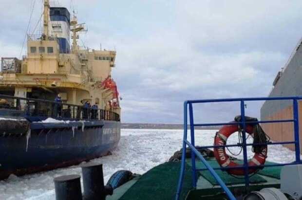 В России в 2025 году обновили рекорд по вылову минтая