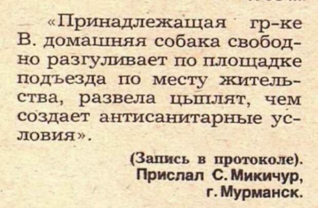 Забавные описания из рубрики "Нарочно не придумаешь" журнала "Крокодил"