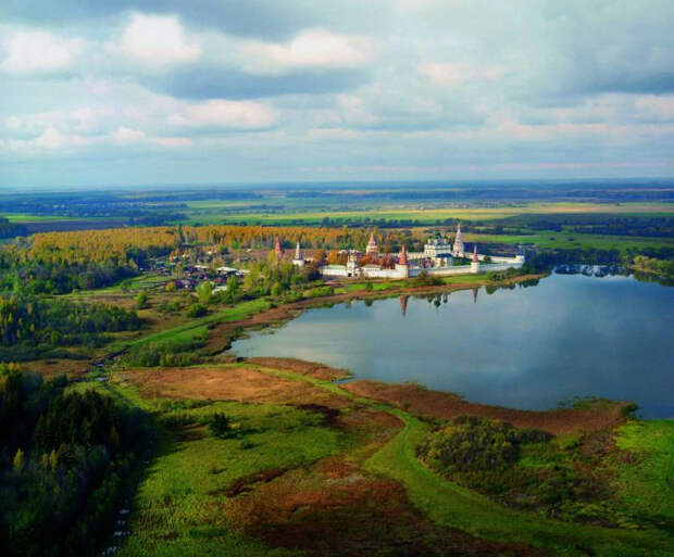Павлиний глаз в Волоколамске