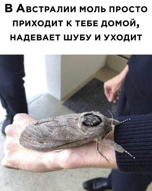 Смешные картинки 19 октября 2021 года