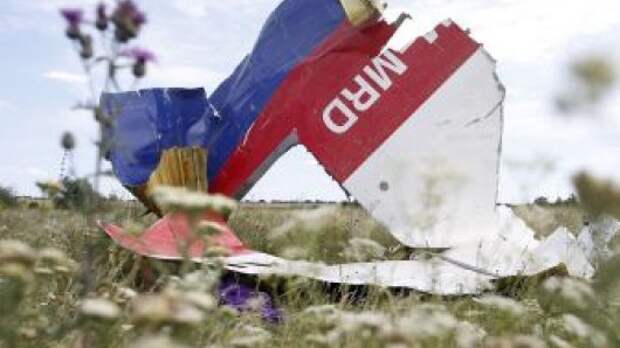 Украина пустила расследование катастрофы рейса MH17 по ложному следу