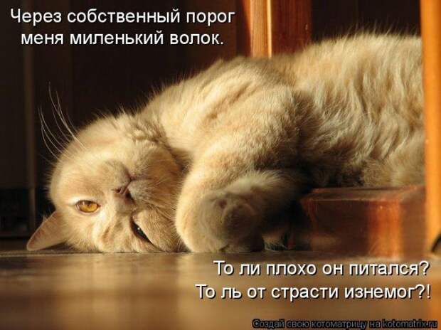 Мысли вслух :)