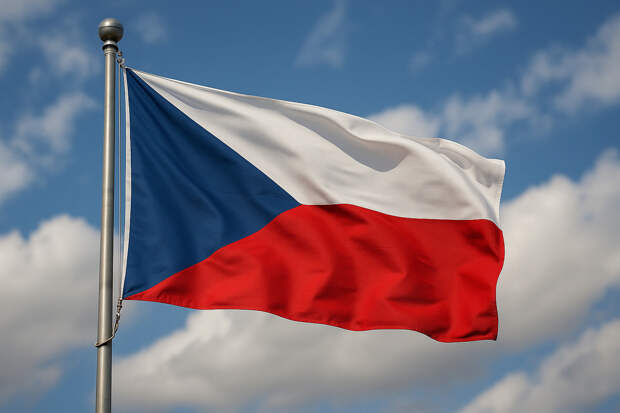 Грязные игры: Петр Павел неожиданно обвинил главу МИД Чехии в шантаже