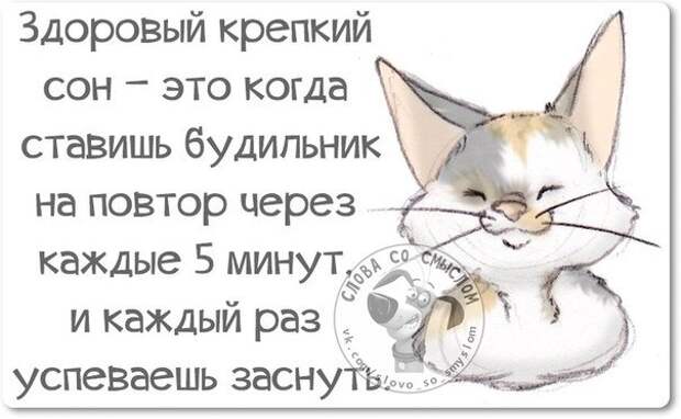 Интересные, стёбные и позитивные фразочки со смыслом (29 фото) Интересные, стёбные и позитивные фразочки со смыслом (29 фото)