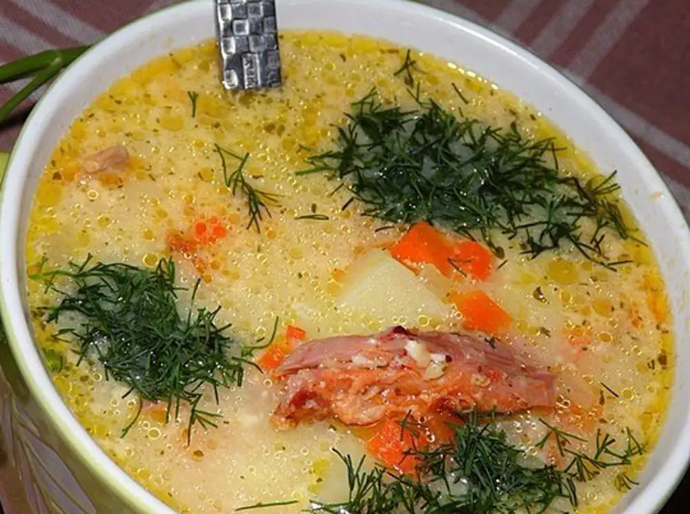 Вкусные и простые рецепты супов с фото пошаговые на каждый день