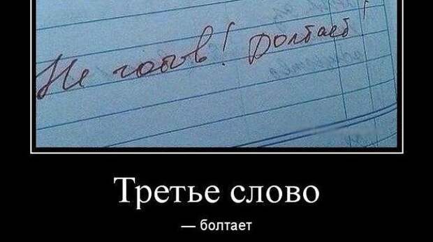 24 самые смешные картинки февраля 2026 года и тело в шляпе