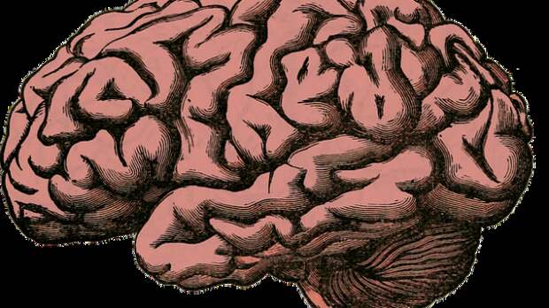 Тест на кругозор: 15 вопросов из серии «Всё обо всём» для интеллектуалов