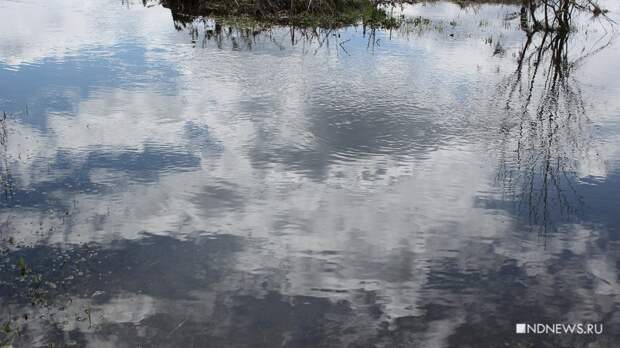 На реке Туре отрезаны паводком 12 деревень с 1333 жителями