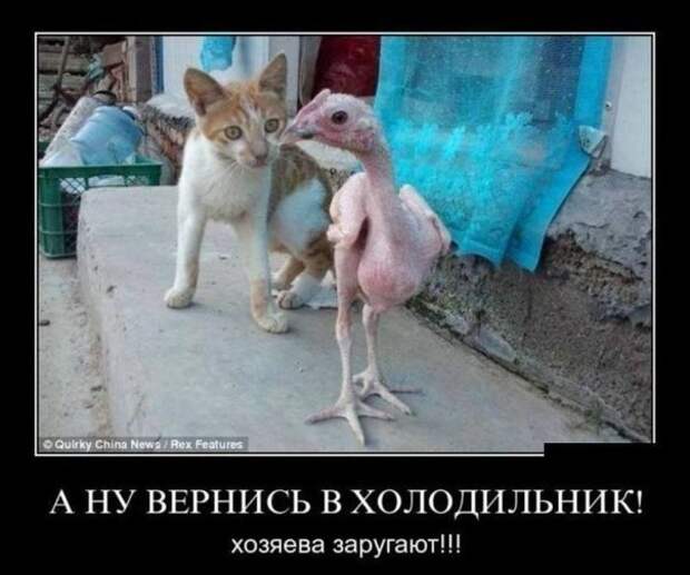 Всяко - разно 7  )))
