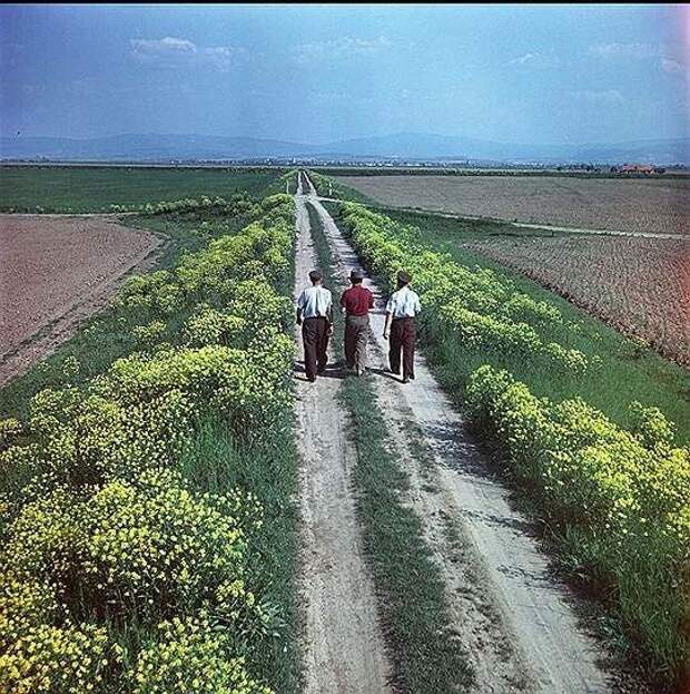 Из архива журнала "Огонёк"