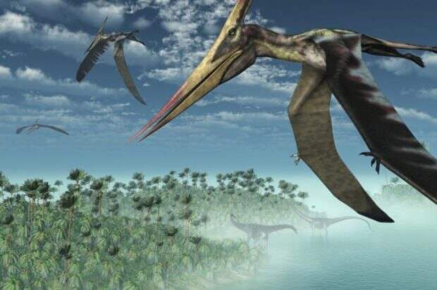 Птерозавры