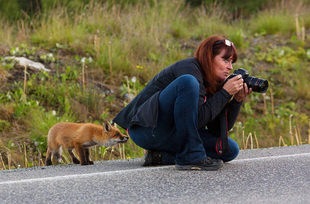 30 причин, почему  фотограф дикой  природы - это самая лучшая  работа в мире