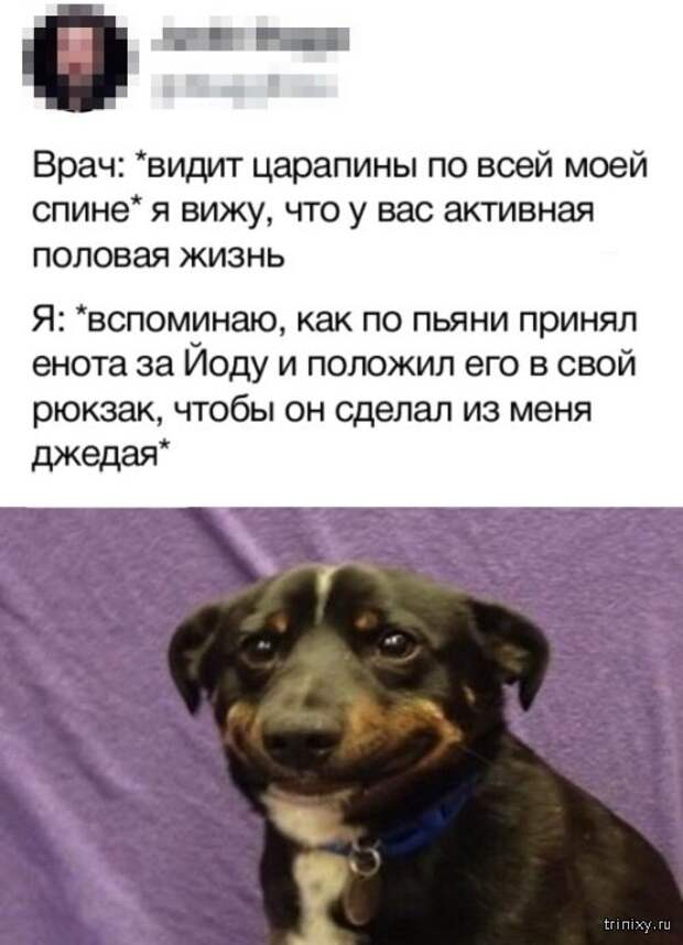 Подборка картинок (20 фото)