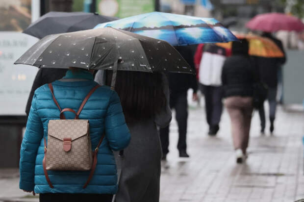 Погода 24 февраля: дождливо и холодно