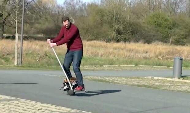 Самобалансирующий скутер Uo ездит на шаре вместо колеса