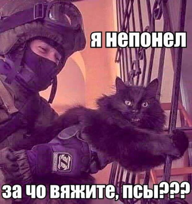 Новые прикольные фотомемы (28 шт)