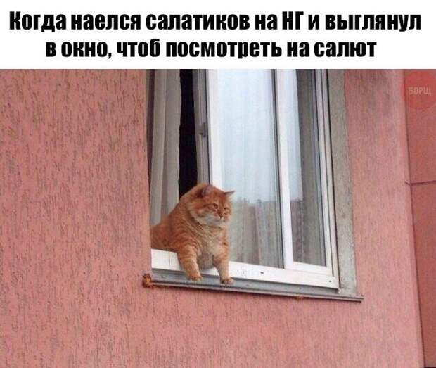 Картинки с надписями  мем, прикол, юмор