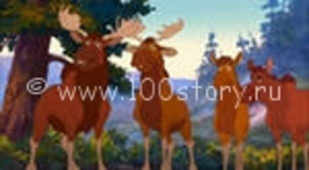 Ахтунг! Лоси…