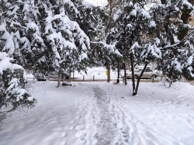 В Краснодаре на выходные ожидается снегопад: высота сугробов до 25 сантиметров