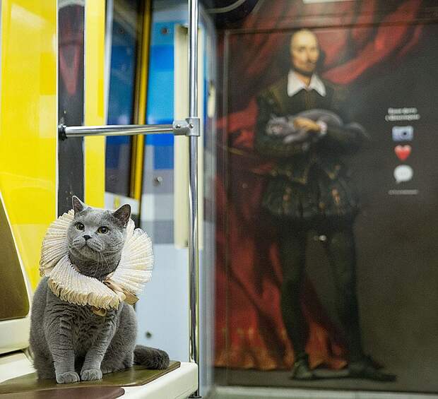 Пушистый красавец оказался очень похожим на кота, изображенного у Шекспира на руках на портрете в вагонах. ФОТО Пресс-служба Московского метрополитена 