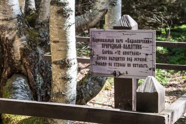 Экскурсия в Свято-Ильинскую Водлозерскую пустынь Экскурсия в Свято-Ильинскую Водлозерскую пустынь