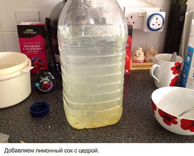 Делаем домашний лимонный квас Домашний квас, лимонный квас