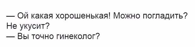 Смешные комментарии и высказывания из социальных сетей
