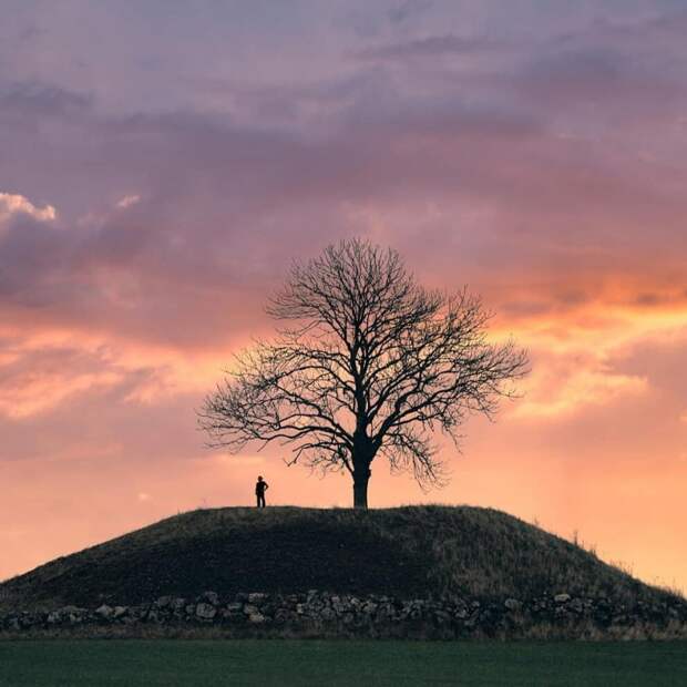 Земля наш дом 104