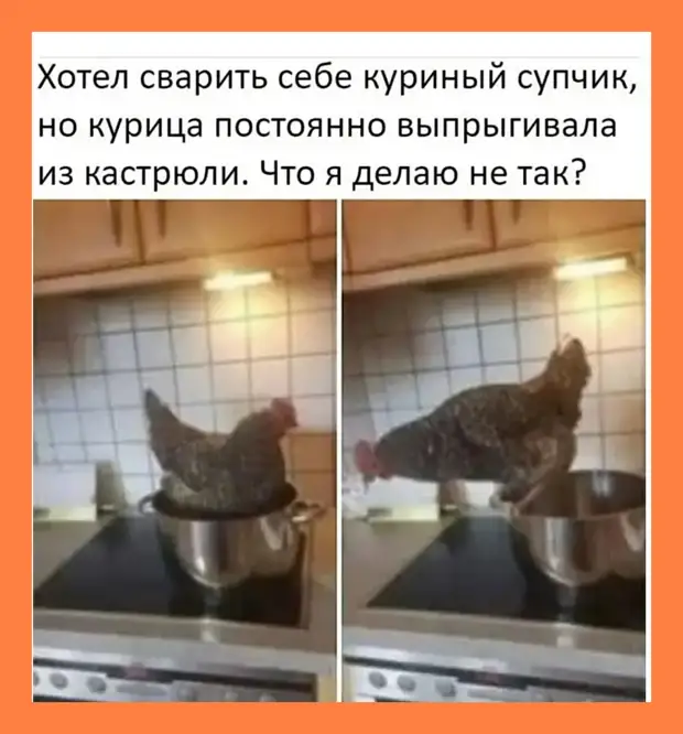 Из всех видов спорта предпочитаю лежачий: силовое скоростное переворачивание с бока на бок Из всех видов спорта предпочитаю лежачий: силовое скоростное переворачивание с бока на бок страна, главная, Включаешь, вечером, знает, стороны, двадцать, вернулись, зятёк, никто, сколько, осталось, вздыхая, проблемаПроводник, томто, налила, приходит, вокзал, узнает, поезд
