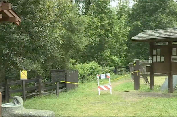 Раскрыта загадка найденных в реке останков голой женщины