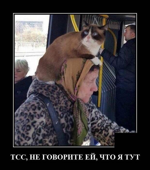 Демотиваторы 28 мая 2021