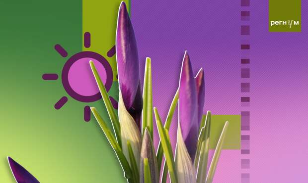 На Дальнем Востоке зафиксировали аномально теплую погоду