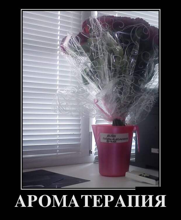 Демотиваторы (30 фото)