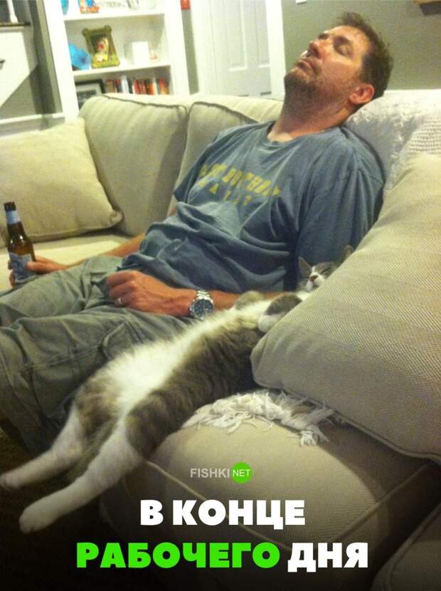 35 позитивных картинок, которые скрасят ваш рабочий день картинки, прикол, юмор