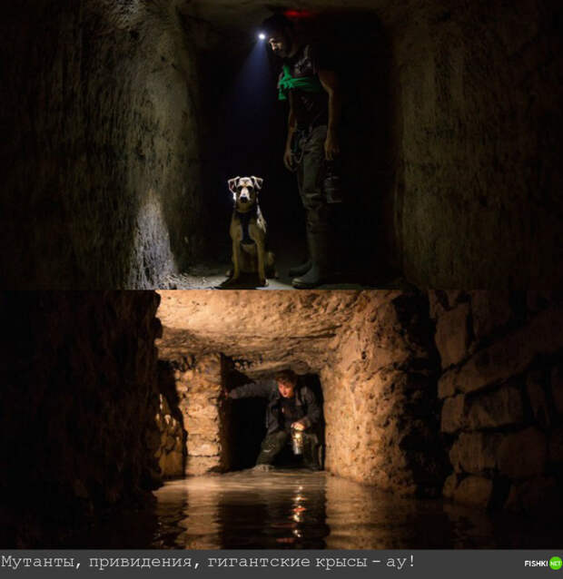 Диггеры и катафилы (любители катакомб) - хранители этих подземелий места, опровержение, страшилки, факты