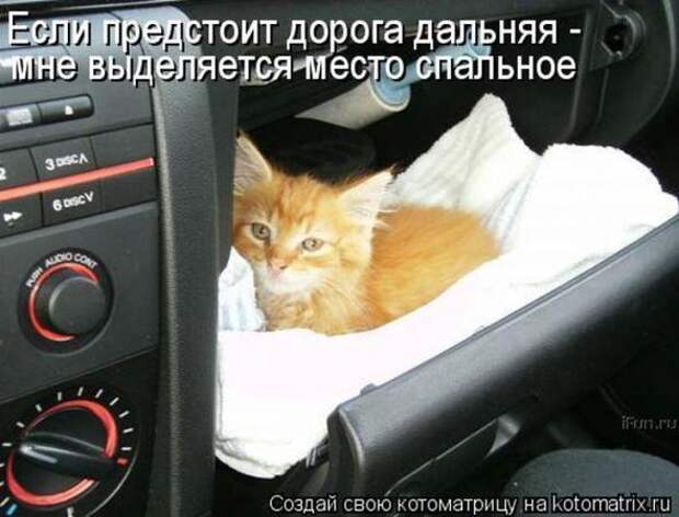 Котоматрицы (картинки с надписями)