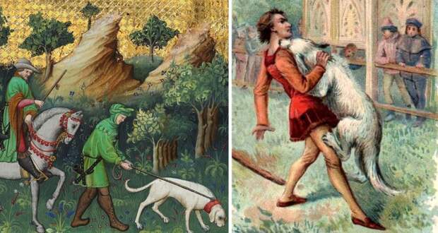 Суд Божий: как собака из Монтаржи отомстила за убийство хозяина