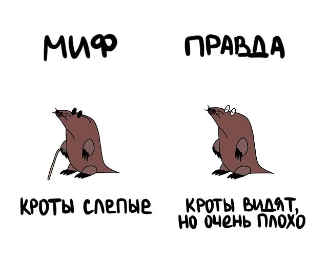 Подборка коротких интересных фактов на все случаи жизни