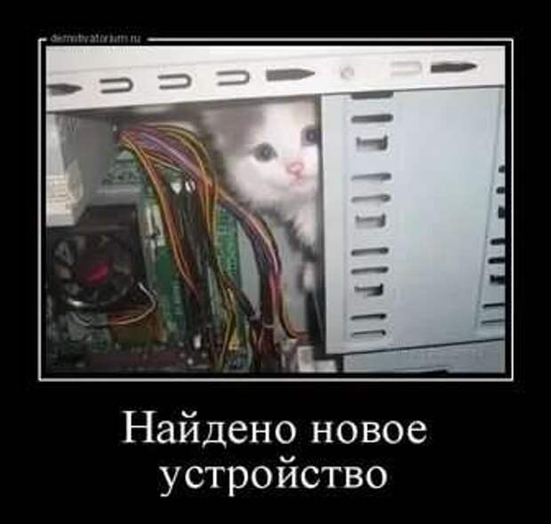 Прикольные демотиваторы с надписями. Подборка chert-poberi-dem-chert-poberi-dem-21080416012021-10 картинка chert-poberi-dem-21080416012021-10