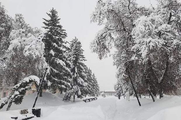 В Госинспекции труда рассказали, при каких условиях опоздание из-за непогоды не считается прогулом