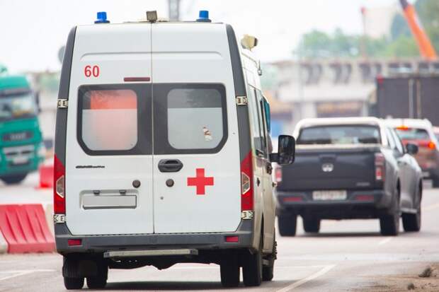 В Курске научились удалять камни из почек удаленно