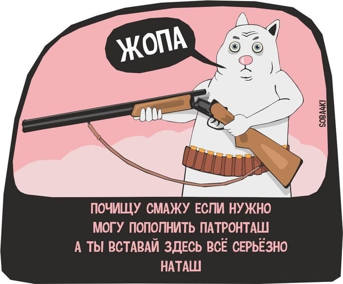 «Наташ, вставай, мы всё уронили»: откуда взялись мемы про Наташу и котов, которые теперь буквально везде