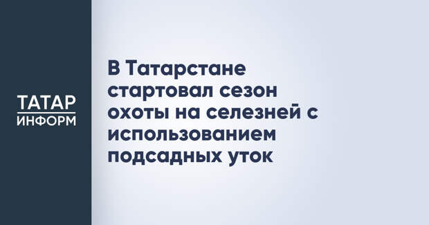 В Татарстане стартовал сезон охоты на селезней с использованием подсадных уток