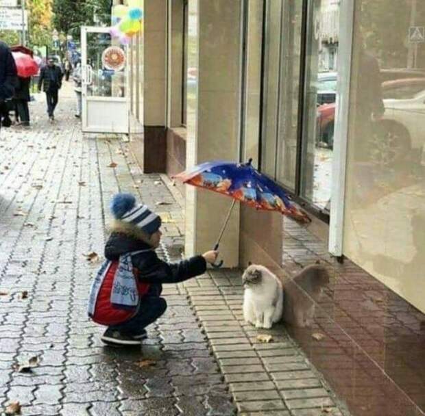 доброта